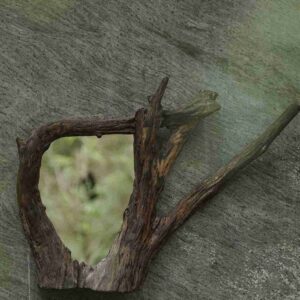 Nature Select Organic Driftwood Wall Mirror