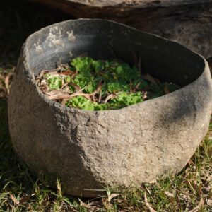 Hand-Carved Organic Black Granite Water Feature & Aquatic Planter